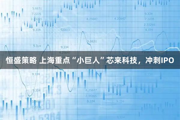 恒盛策略 上海重点“小巨人”芯来科技，冲刺IPO