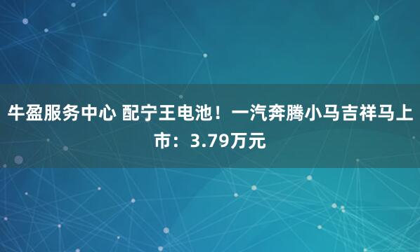 牛盈服务中心 配宁王电池！一汽奔腾小马吉祥马上市：3.79万元