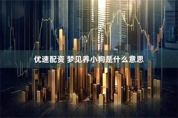 优速配资 梦见养小狗是什么意思