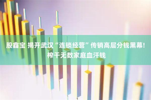 股鑫宝 揭开武汉“连锁经营”传销高层分钱黑幕! 榨干无数家庭血汗钱